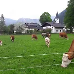 Biobauernhof Hauserbauer 아파트 힌터시