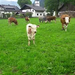شقة Biobauernhof Hauserbauer