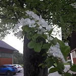 아파트 Biobauernhof Hauserbauer *