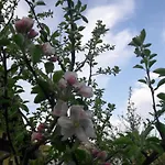 아파트 Biobauernhof Hauserbauer *