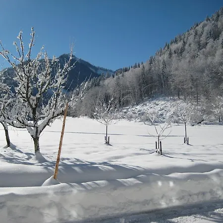 Biobauernhof Hauserbauer *