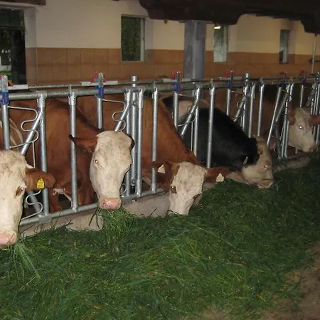 Biobauernhof Hauserbauer