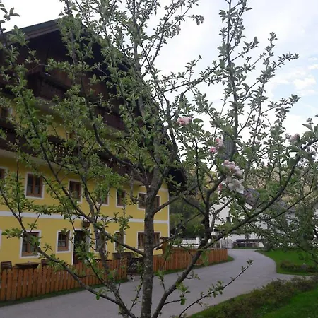 Apartman Biobauernhof Hauserbauer Hintersee