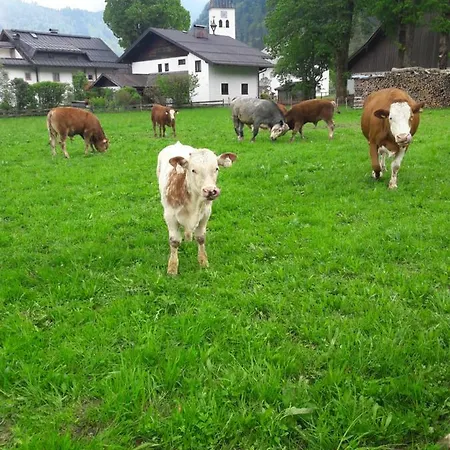 Apartamento Biobauernhof Hauserbauer
