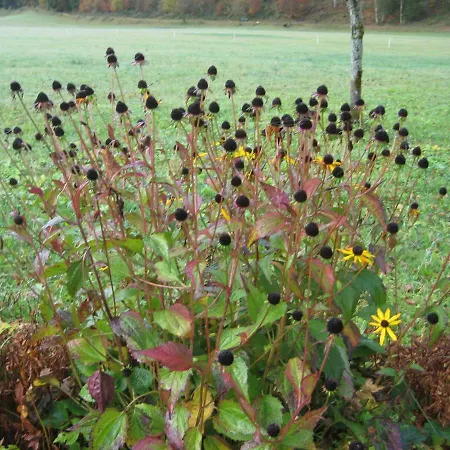 Biobauernhof Hauserbauer شقة *