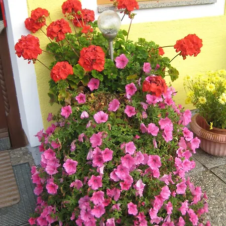 Biobauernhof Hauserbauer * Hintersee