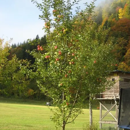 Biobauernhof Hauserbauer *