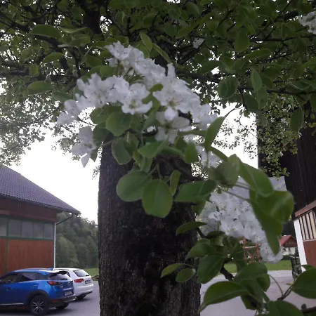 Appartement Biobauernhof Hauserbauer *