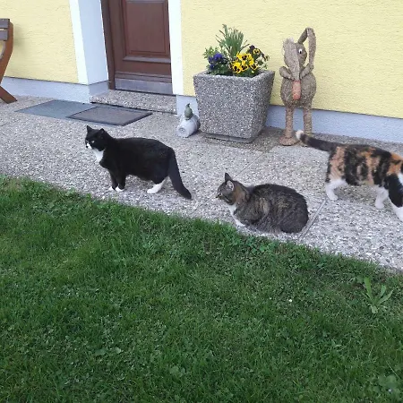 Apartman Biobauernhof Hauserbauer