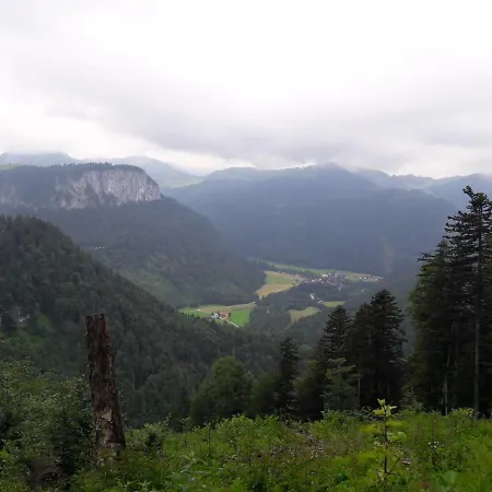 Biobauernhof Hauserbauer Apartman *