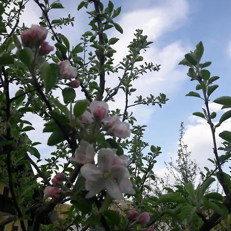 شقة Biobauernhof Hauserbauer *