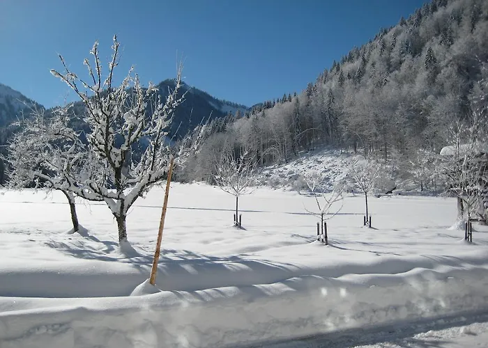 Biobauernhof Hauserbauer *