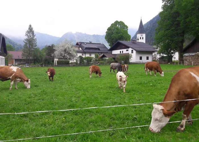 Biobauernhof Hauserbauer アパート ヒンターゼー