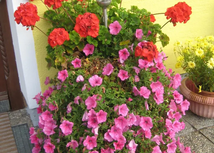 Biobauernhof Hauserbauer * ヒンターゼー