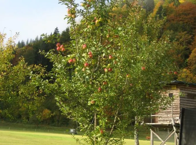 Biobauernhof Hauserbauer *