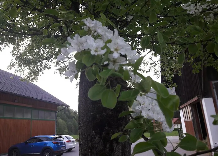 アパート Biobauernhof Hauserbauer *