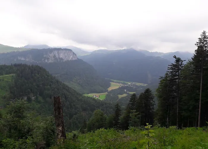 Biobauernhof Hauserbauer アパート *