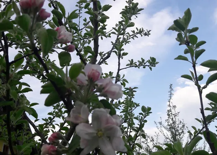 アパート Biobauernhof Hauserbauer *